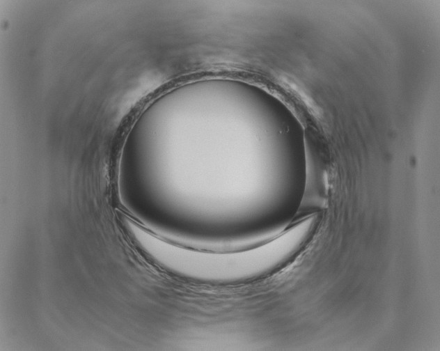 X0000088621261200706081513