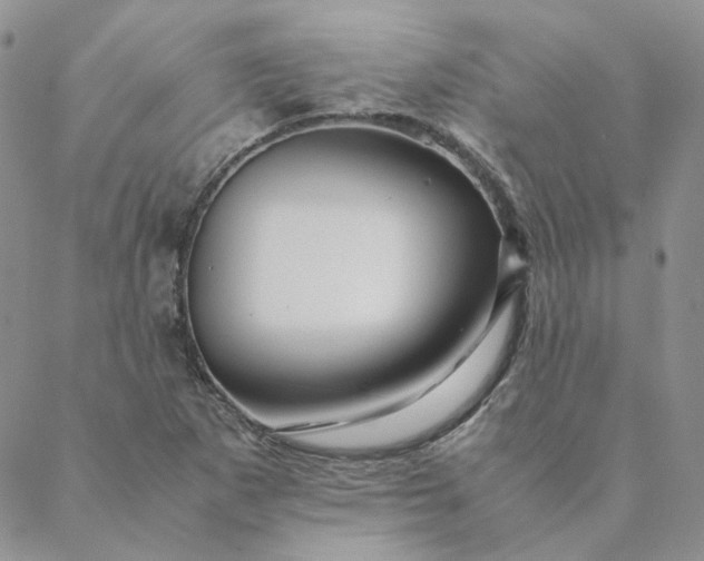 X0000088621265200706081512
