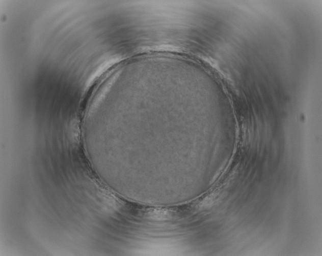 X0000088621266200706081512