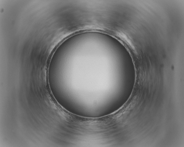 X0000088621268200706081512