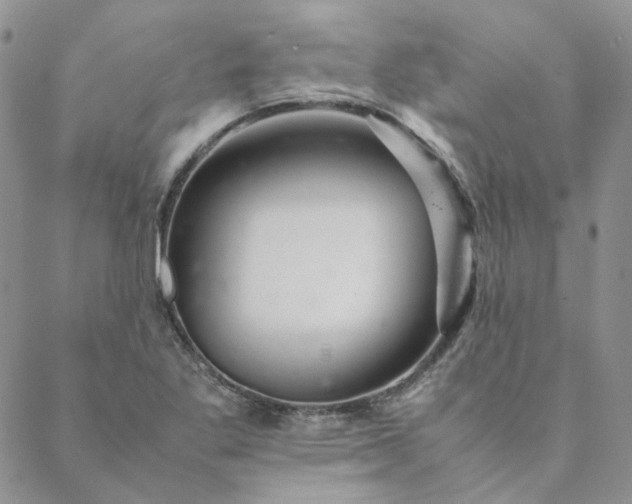 X0000088621269200706081512