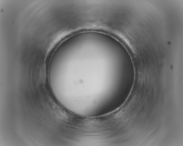 X0000088621270200706081512