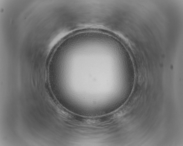 X0000088621271200706081512