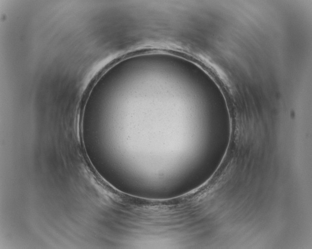 X0000088621272200706081512