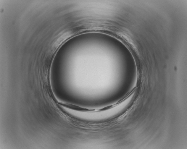 X0000088621273200706081512