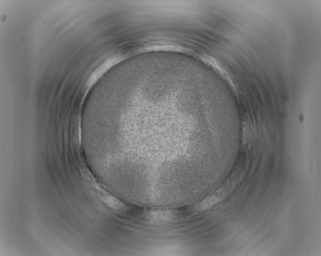 X0000088621274200706081512