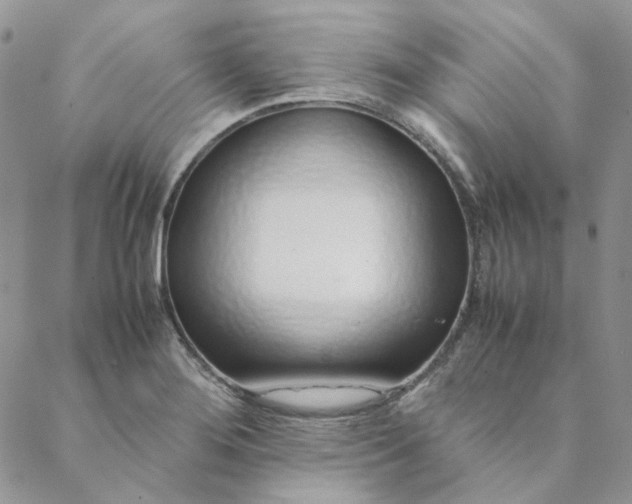 X0000088621276200706081512