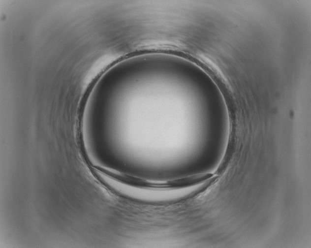 X0000088621277200706081512