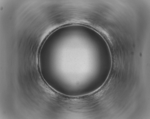 X0000088621280200706081512