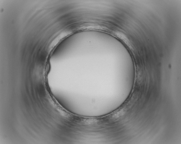X0000088621282200706081512