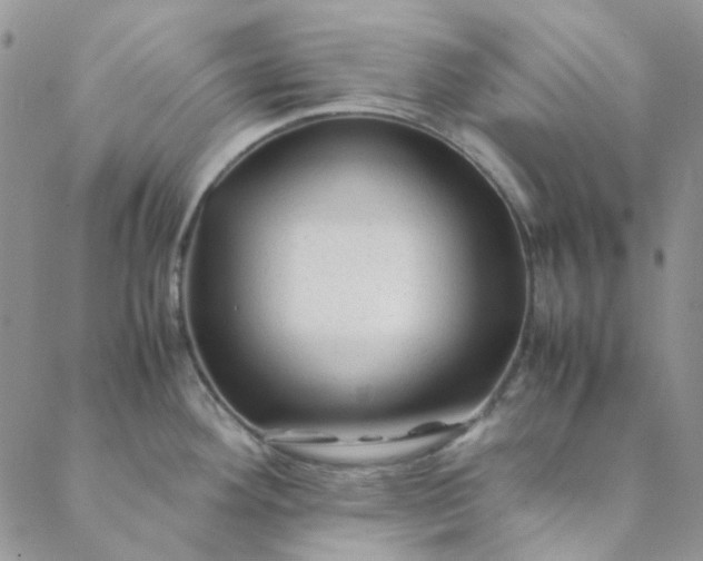 X0000088621292200706081512