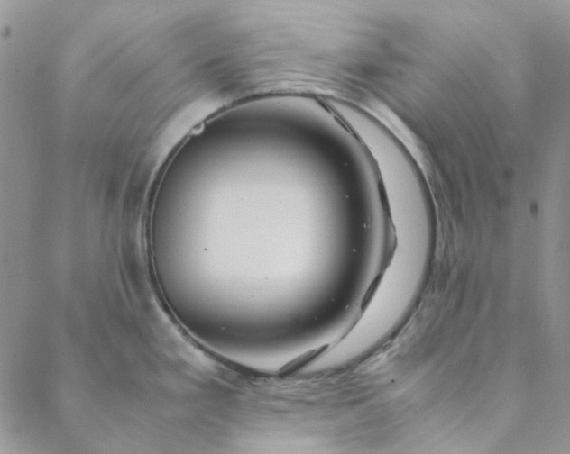 X0000088621293200706081512