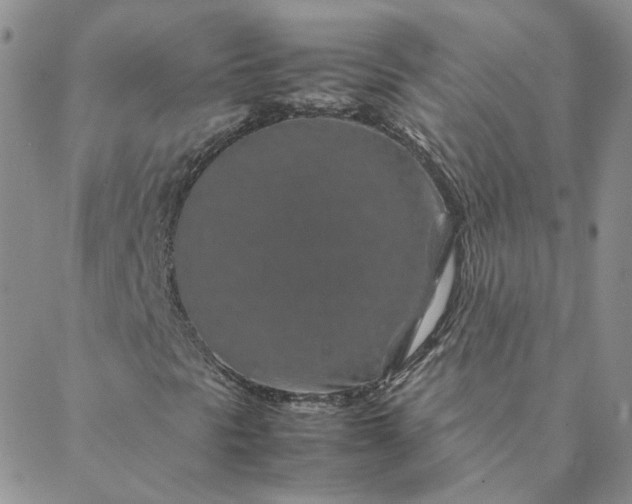 X0000088621297200706081511
