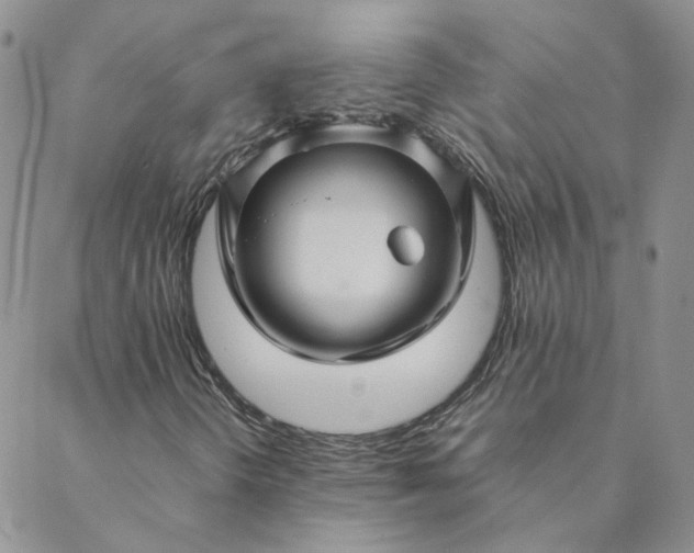 X0000088621298200706081511