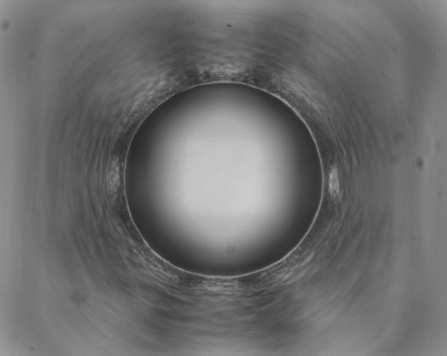 X0000088621299200706081511