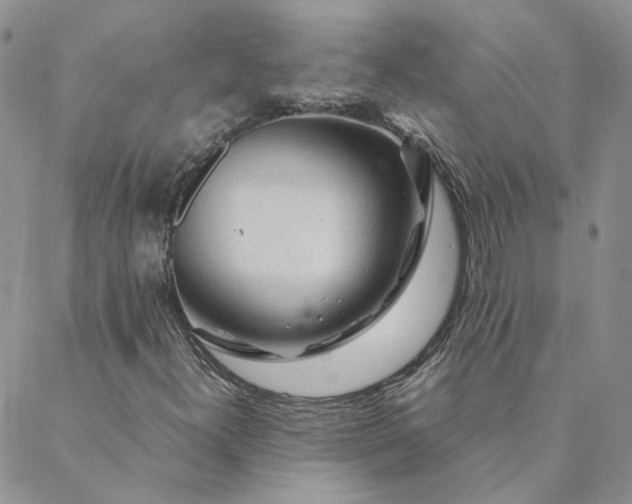 X0000088621300200706081511
