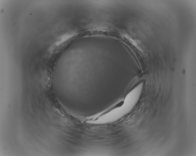 X0000088621303200706081511