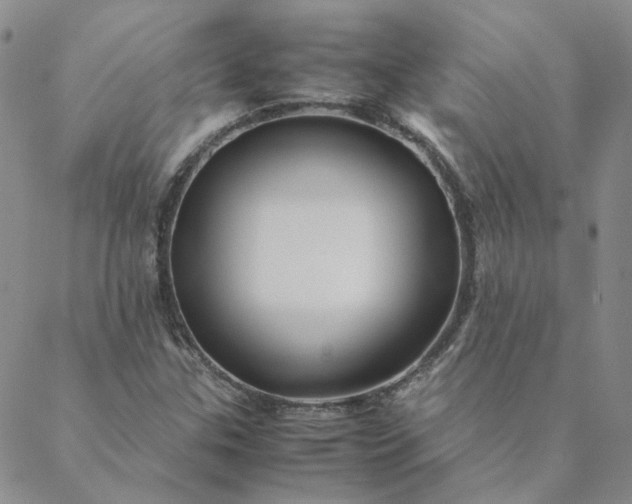 X0000088621307200706081511