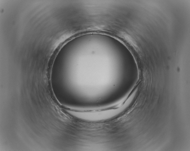 X0000088621308200706081511