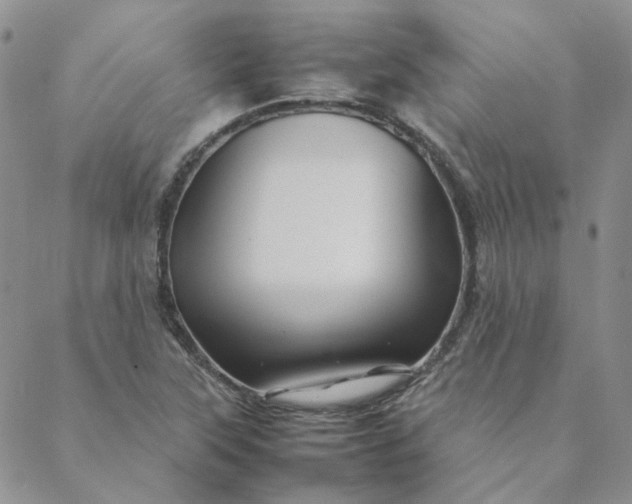 X0000088621315200706081511