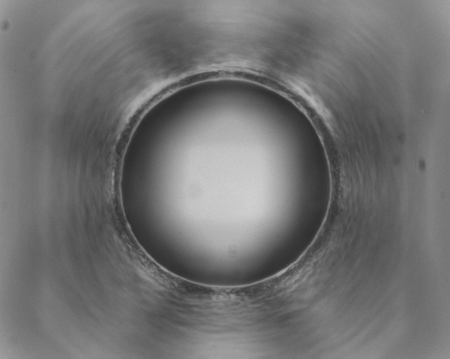 X0000088621316200706081511
