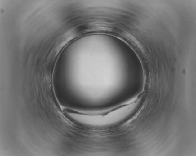X0000088621321200706081511