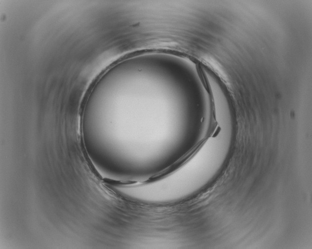 X0000088621324200706081512