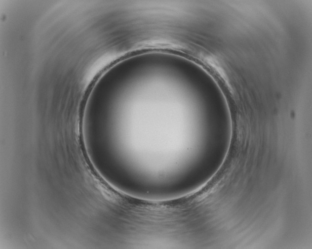X0000088621328200706081512