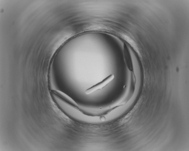 X0000088621330200706081512