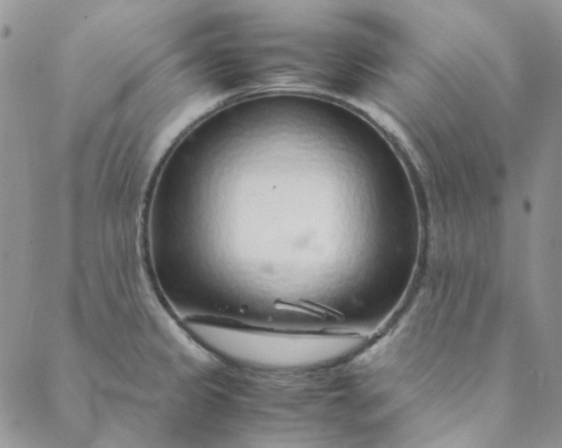 X0000088621333200706081512