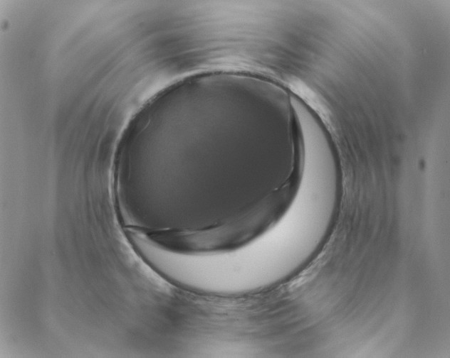 X0000088621334200706081512