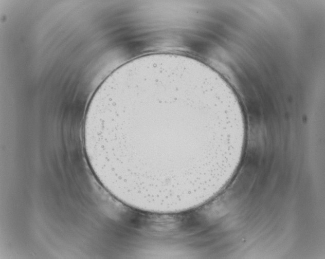 X0000088621338200706081512