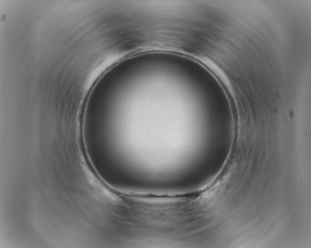 X0000088621341200706081512