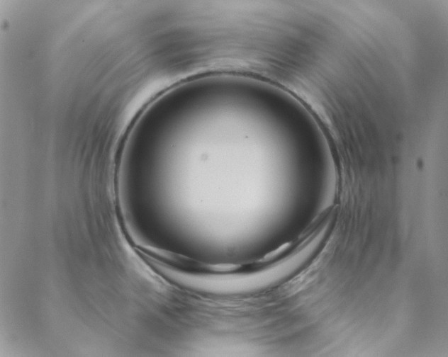 X0000088621342200706081512