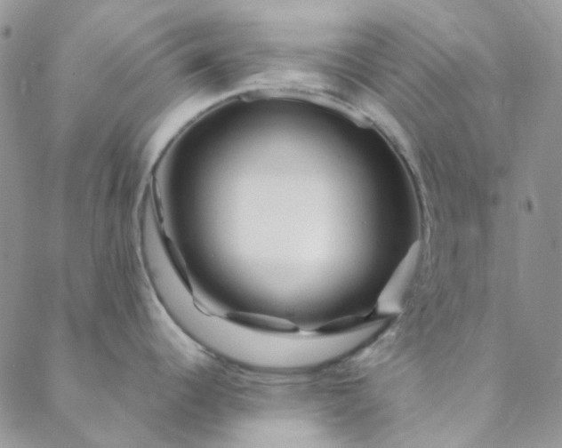 X0000088621344200706081512