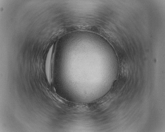 X0000088621346200706081511