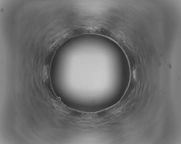 X0000088621347200706081511