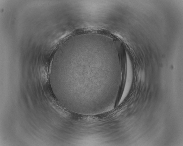 X0000088621348200706081511