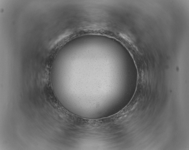 X0000088621350200706081511