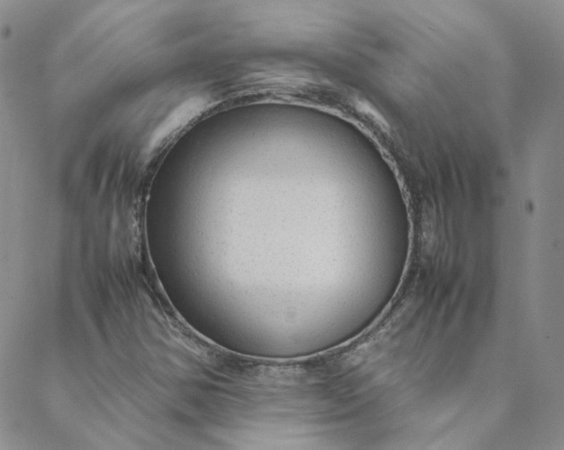 X0000088621354200706081511