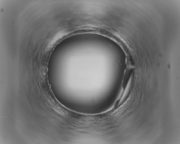 X0000088621355200706081511
