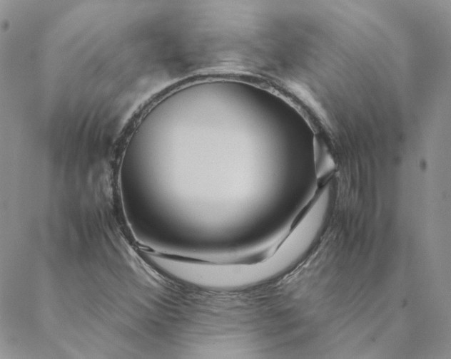 X0000088621356200706081511