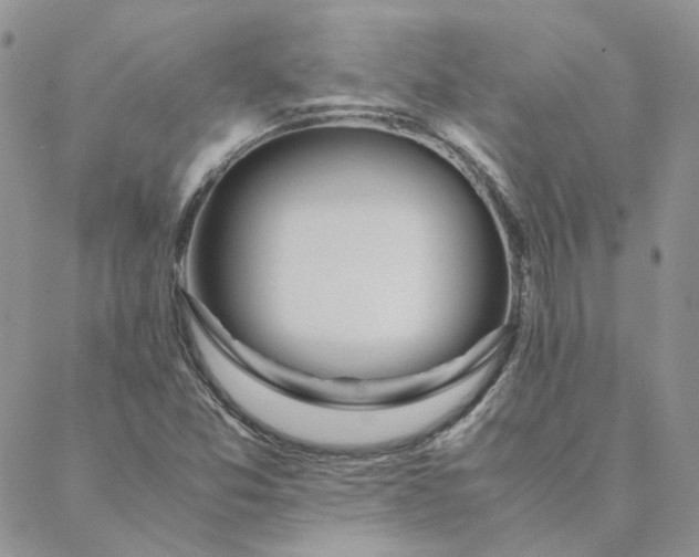 X0000088621357200706081511
