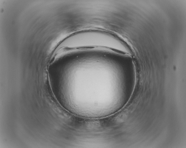 X0000088621363200706081511