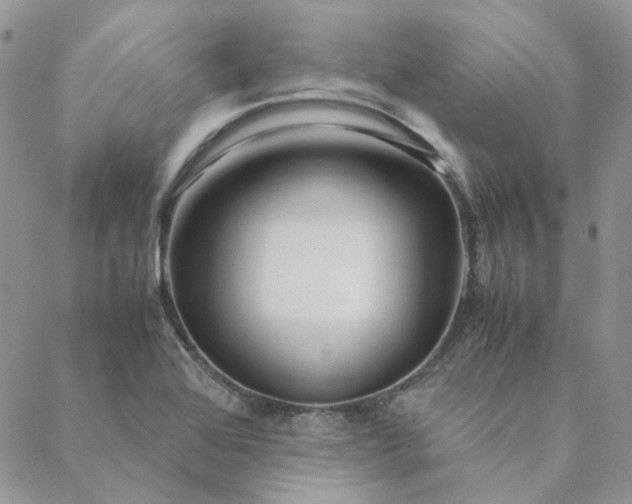 X0000088621368200706081511