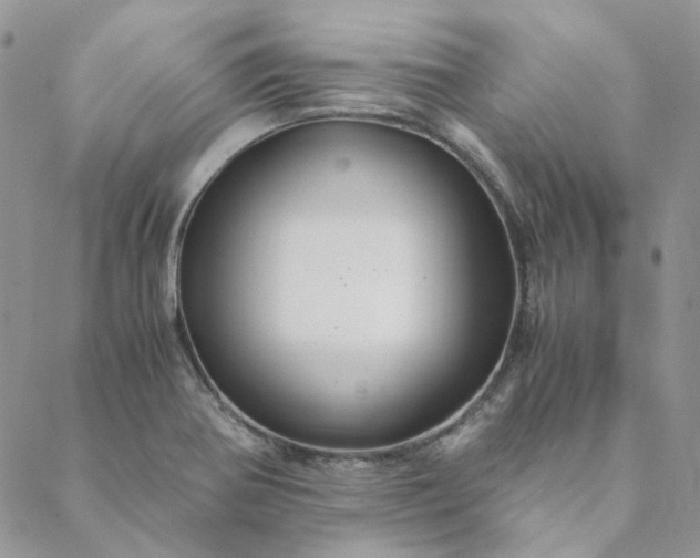 X0000088621370200706081510