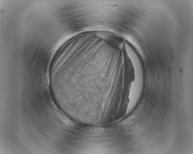 X0000088621372200706081510