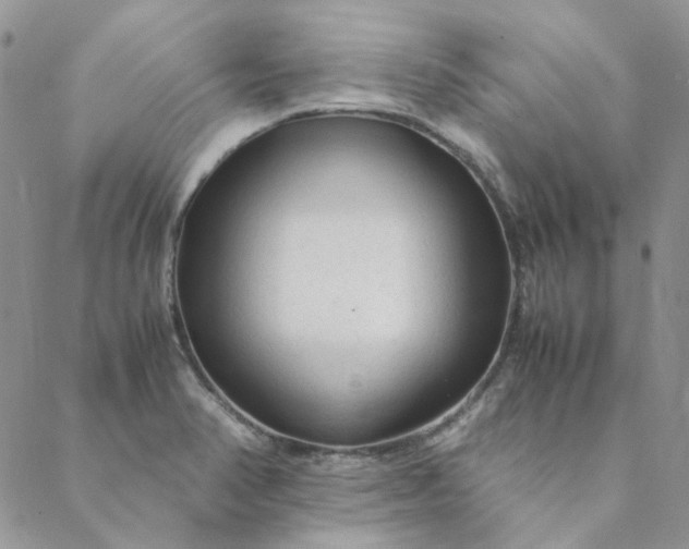 X0000088621374200706081510