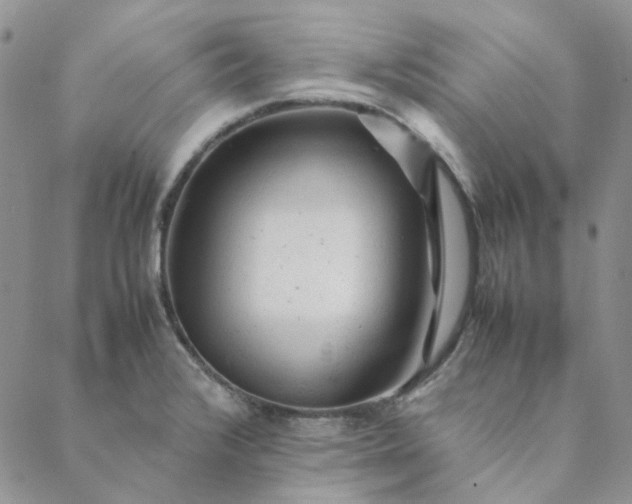 X0000088621376200706081510