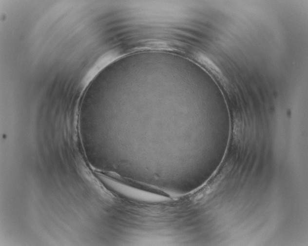X0000088621378200706081510